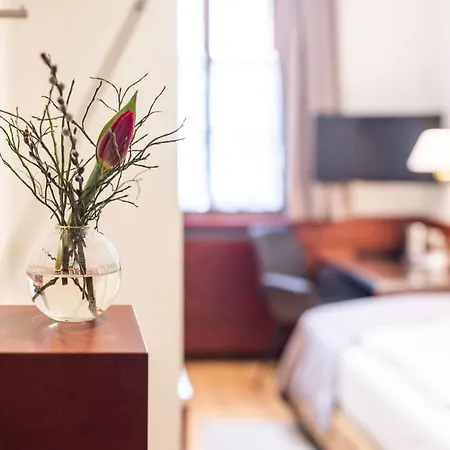 Wolf 4* Salzburg